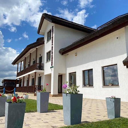 Pensiunea Belvedere Murighiol Exterior foto