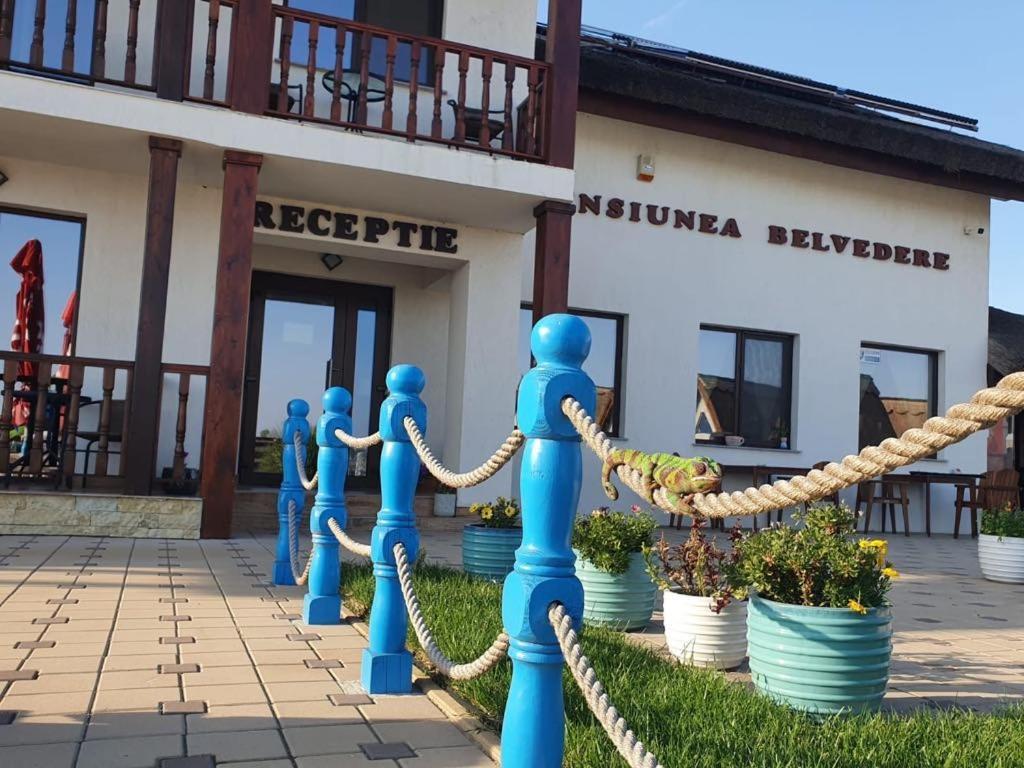 Pensiunea Belvedere Murighiol Exterior foto